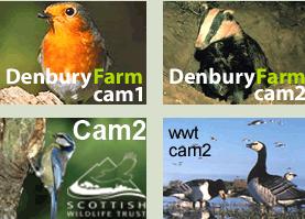 Camaras Animales